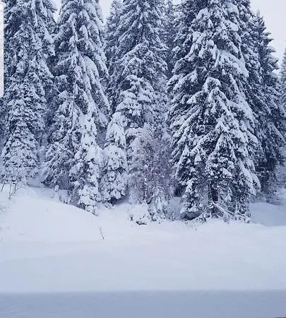 Aparthotel апартамент мая N 24 Pamporovo